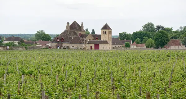 Bourgogne seminaire 0