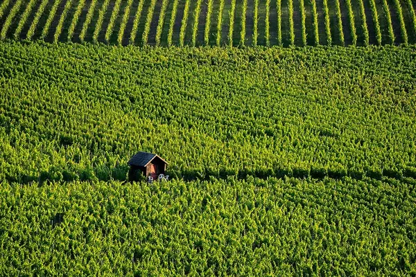 Bourgogne seminaire 11