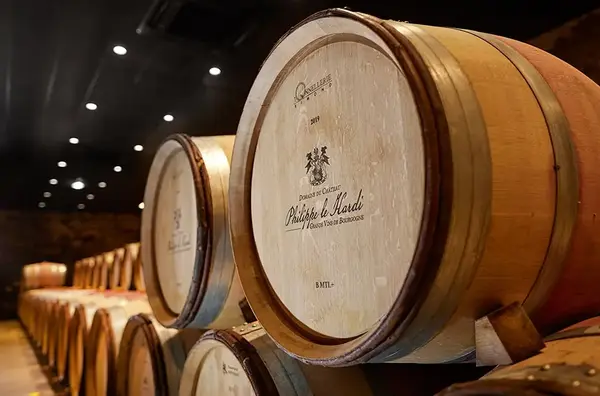 Hotel salle seminaire Beaune 8