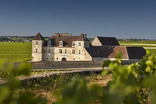 Hotel seminaire Beaune Chateau du Clos de Vougeot 2