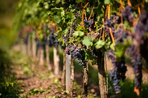 Micro seminaire Beaune 2