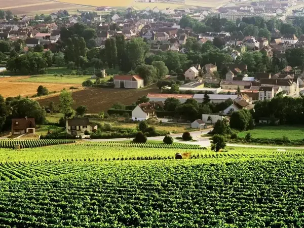 Organisation seminaire Bourgogne 6