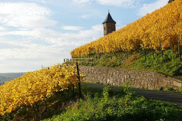 Rallye Beaune Seminiare 1