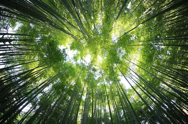 Seminaire RSE Beaune 2