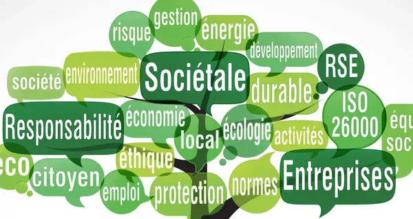 Seminaire RSE le guide 0