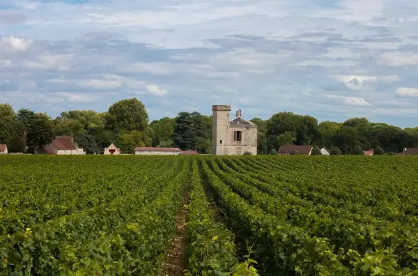 Seminaire au vert Beaune 1
