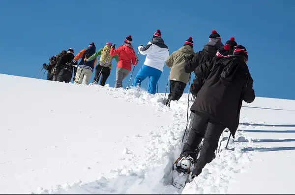 Tema Building Beaune 1