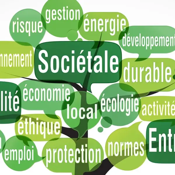 Seminaire RSE le guide 0