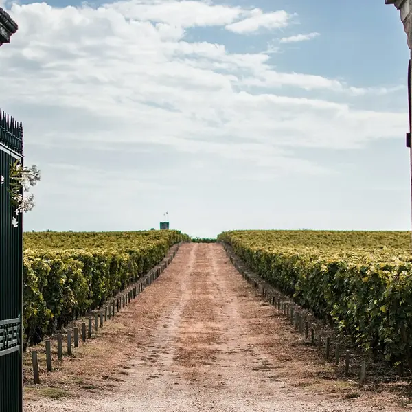 Seminiare Chateau Beaune 0